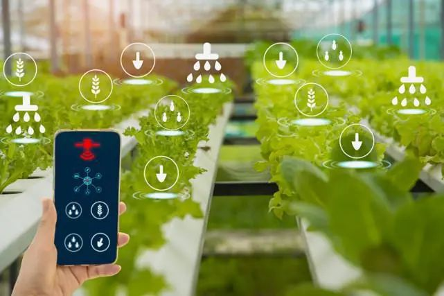 智慧农业设备：改变传统农业，迈向绿色可持续发展
